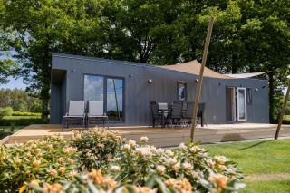 Chalet Rustique - Oldeberkoop - 8