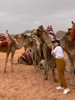 Wadi rum marchin camp - Wadi Rum - 2
