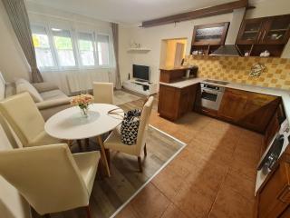 Vio Art Apartman - Székesfehérvár - 9