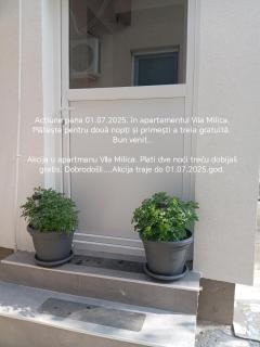 Vila Milica - Kladovo - 7