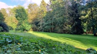 Gîte Artéa parc arboré 2,5 ha 2 à 6 personnes 20mn des thermes de Vittel et Contrexéville - 3