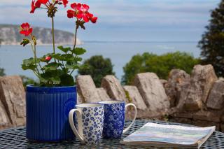 Belvedere Lodge Swanage Dorset Sea View Luxury - Swanage - 9