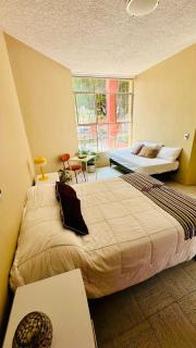 Casa Artemisa hostal - Guadalajara - 6