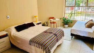 Casa Artemisa hostal - Guadalajara - 5