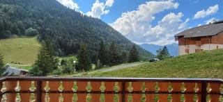 Charmant F2 avec terrasse, un coin de paradis esprit montagnard - Le Biot - 0