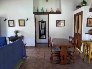 Casa Juan José - Conil de la Frontera - 9