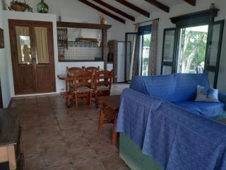Casa Juan José - Conil de la Frontera - 4