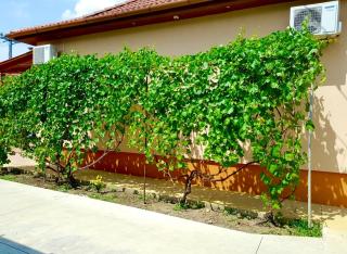 Hajdú Nova Apartman - Hajdúnánás - 8