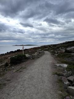 Nyrenoverat lägenhet i Halmstad - Halmstad - 3