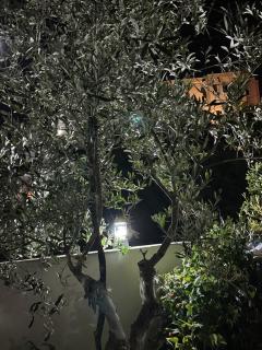 Kingsland Apartment Ksamil - 2