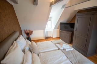 Ferienhaus Schlossberg mit Infrarot-Kabine und Stellplatz - Quedlinburg - 7