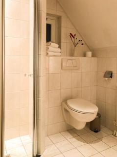 Holiday home for rent near swimming pool and golf course - Delden - 2