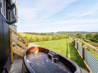 Charollais - Oswestry - 9