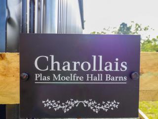Charollais - Oswestry - 8