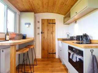 Charollais - Oswestry - 6