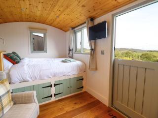 Charollais - Oswestry - 4