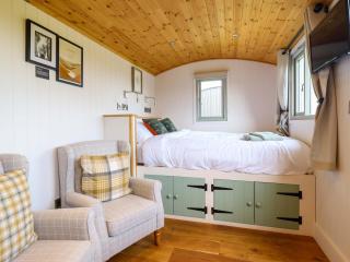 Charollais - Oswestry - 3