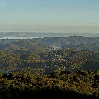 Suíte Buquê de Noiva - Monte Verde - 6