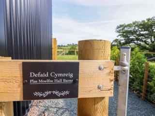 Defaid Cymreig - Oswestry - 8