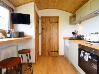 Defaid Cymreig - Oswestry - 5