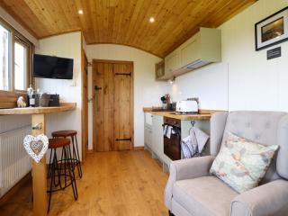 Defaid Cymreig - Oswestry - 6
