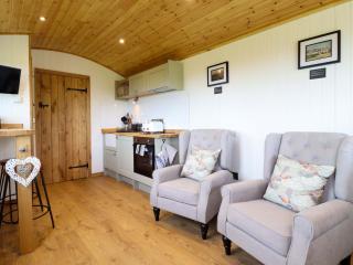 Defaid Cymreig - Oswestry - 4