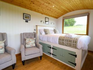 Defaid Cymreig - Oswestry - 1