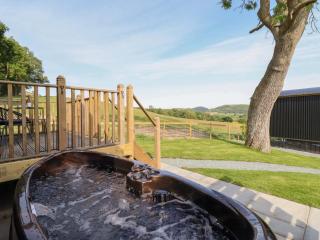 Cheviot - Oswestry - 9