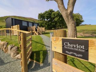 Cheviot - Oswestry - 8