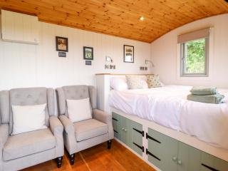 Cheviot - Oswestry - 6