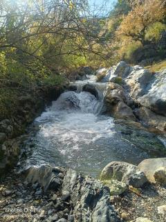 Rivulet Resort & Camping - 6