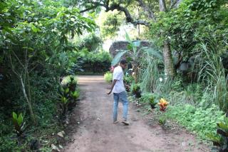 Green Tours Park - - 9