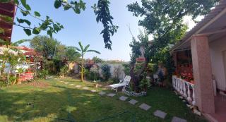 B&B Marino E Lily - 7