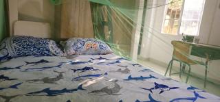 Bio Coliving Tayrona - Santa Marta - 7