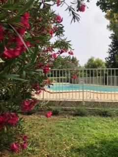 Gîte 4 à 6 personnes en Provence avec grande piscine partagée - Cornillon-Confoux - 6