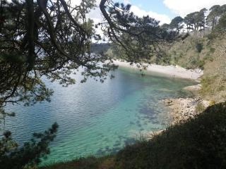 'Shorebird' central apartment, sea views & parking - Falmouth - 8