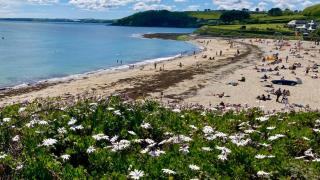 'Shorebird' central apartment, sea views & parking - Falmouth - 5
