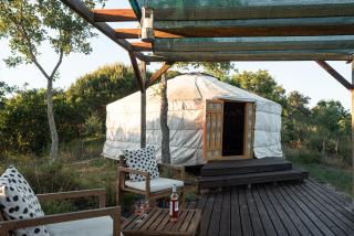 Eco Glamping Portugal Nature Lodge - São Luis - 7