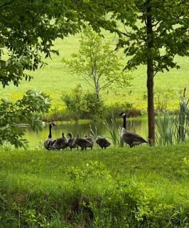 The Farmhouse at Deer Run - - 0