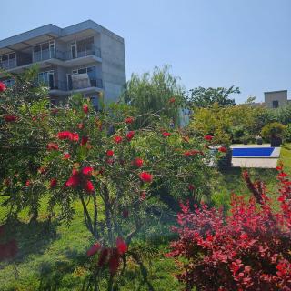 Pirosmani - Kobuleti - 9
