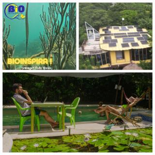 Bio Coliving Tayrona - Santa Marta - 9