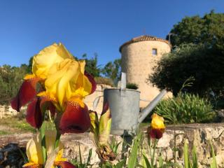 Domaine Léa Chanflaur - Spa - Le moulin de la jalousie - 8