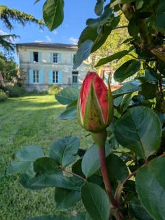 La Belle Verte - Laruscade - 9