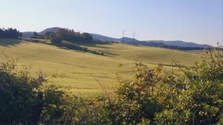 podere dell'ovo - Gabbro - 1
