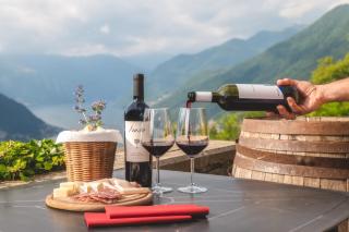 Essentia Guest House - Faggeto Lario - 4