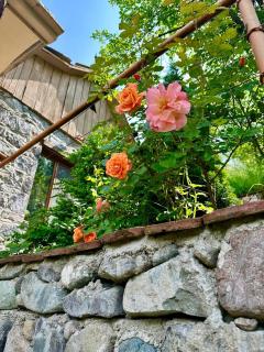 Dilijan One Guesthouse - 6