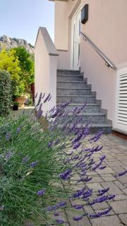 Apartment Pirun - 6