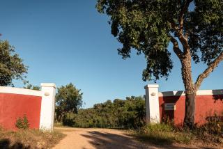 Eco Glamping Portugal Nature Lodge - São Luis - 5