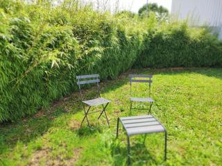 Le Jardin d Ambroise - Saint-Priest-en-Jarez - 4