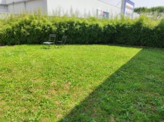 Le Jardin d Ambroise - Saint-Priest-en-Jarez - 3